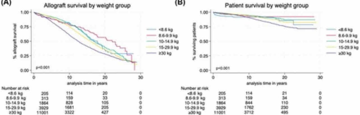 Changes in graft outcomes in recipients <10 kg over 25 years of pediatric kidney #transplantation in the United States ow.ly/jWRy50QmcCE @stELLAKILD @NicoleHayde2 @herrsteinman @lurie_nu @MontefiorePeds #openaccess