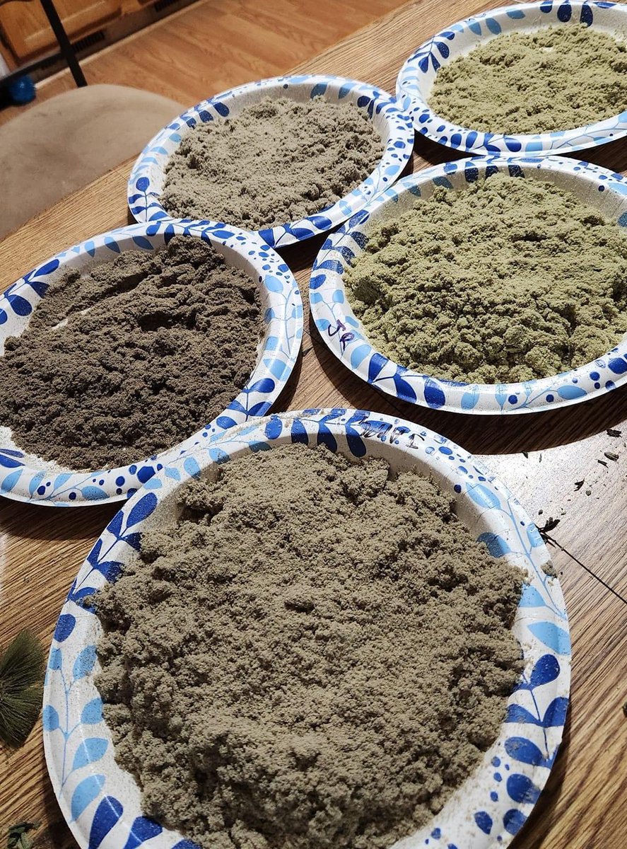DankSinatraIVXX's tweet photo. Time to do the kief 🤪 who’s in?! https://t.co/xl58n5qE98