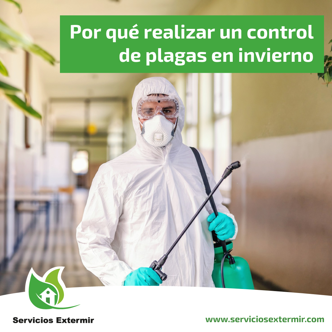 SExtermir's tweet image. Llevar a cabo un buen control de plagas 🪳 también es adecuado durante el invierno ❄️.

👉🏻 ¡Lee nuestro artículo para conocer por qué!
bit.ly/control-plagas…