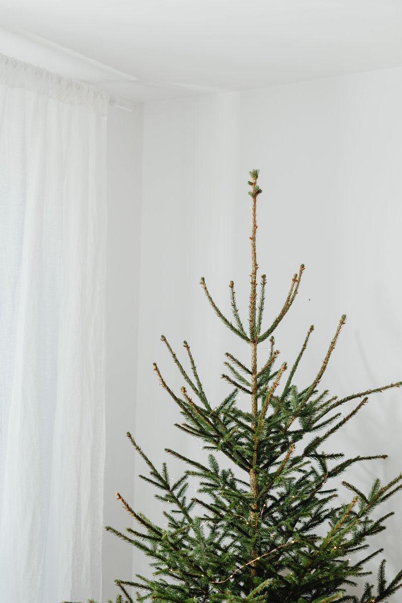 Cardiff Council tweet media