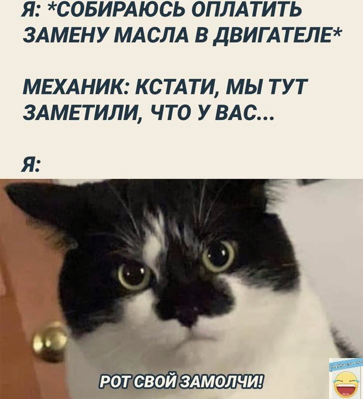 Gribanov ☢ ᓚᘏᗢ (@gribanov) on Twitter photo 