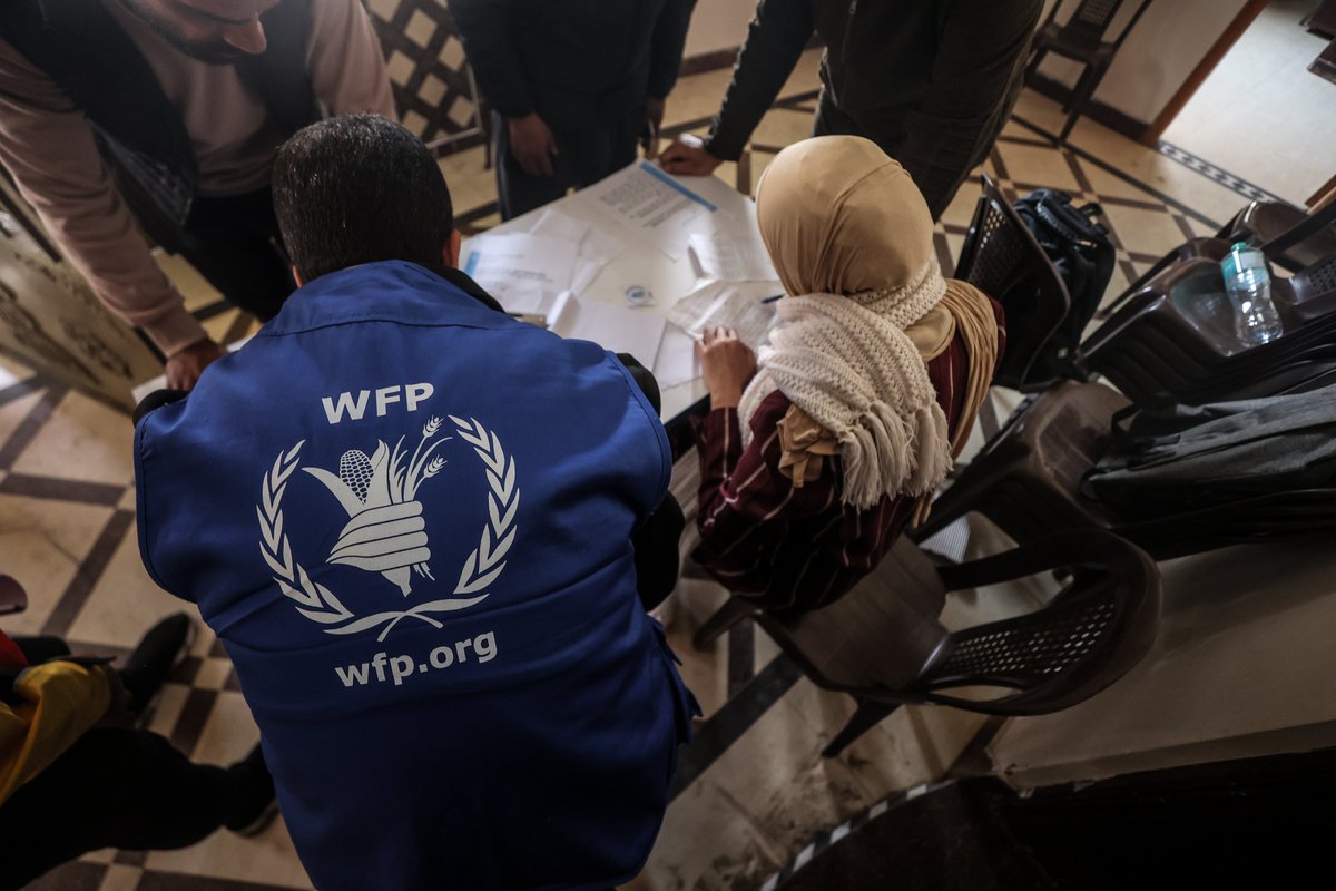 Today, a wedding hall in #Rafah became a @WFP food distirbution point. Community leaders collected food parcels to bring back to the make-shift camps. Incredible to see the collab. between the team and communities as we race against time to deliver life-saving food in #Gaza.