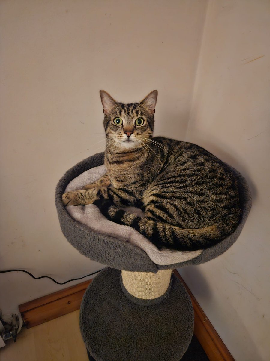 Helen Wright tweet media