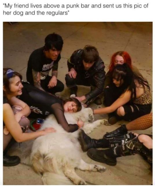 WholesomeMeme's tweet photo. https://t.co/eFbJrZiyPT