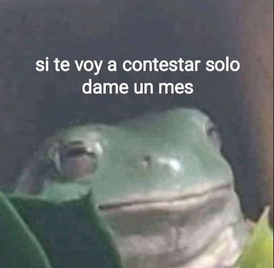 mas vale tarde q nunca