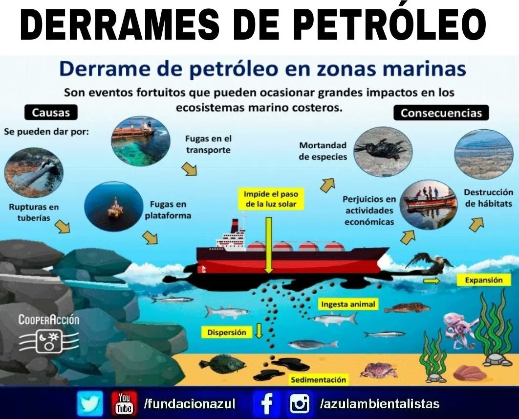 Cómo evolucionan y contaminan los #DerramesDePetróleo nuestros ecosistemas marino costeros

Abro hilo...