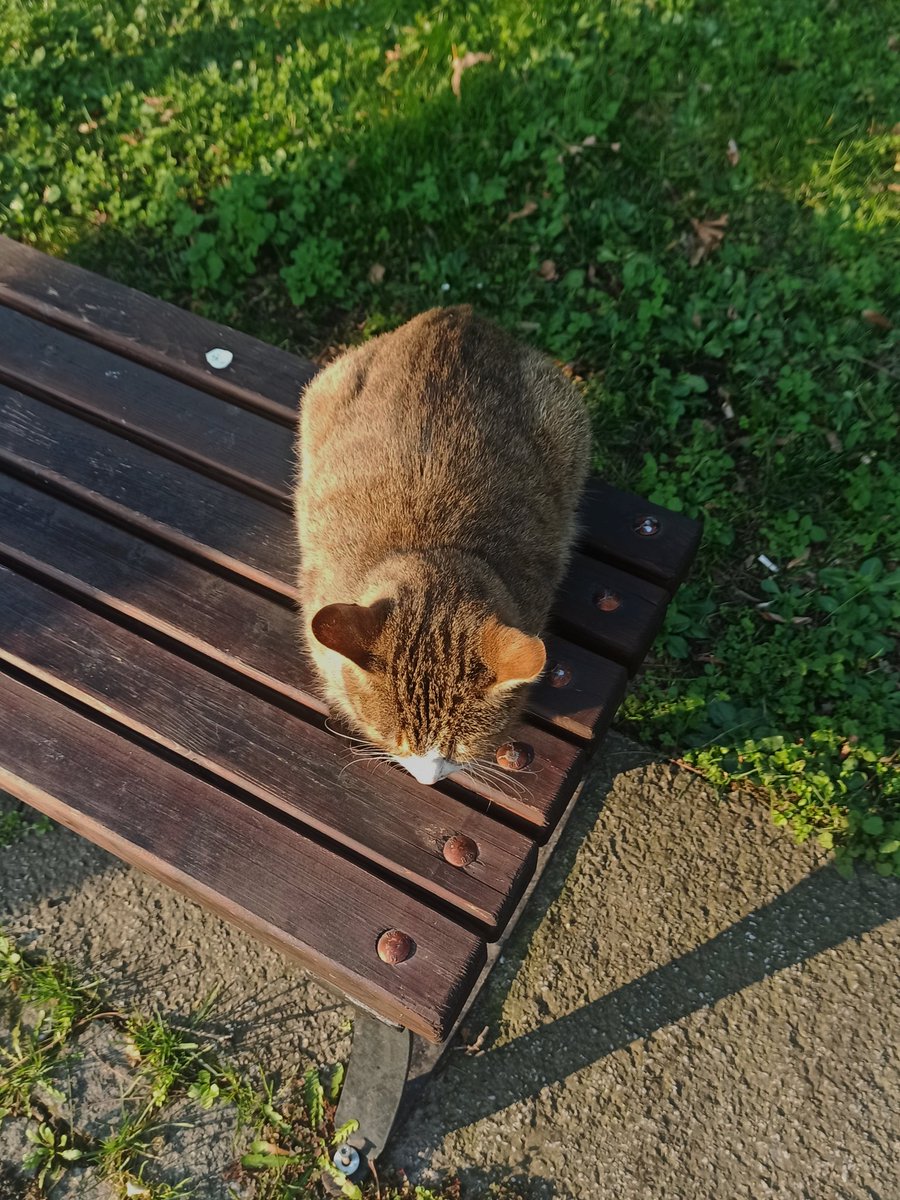 leleelemm's tweet photo. Bankta ekmek buldum 😺 https://t.co/FkTtjjTJlo