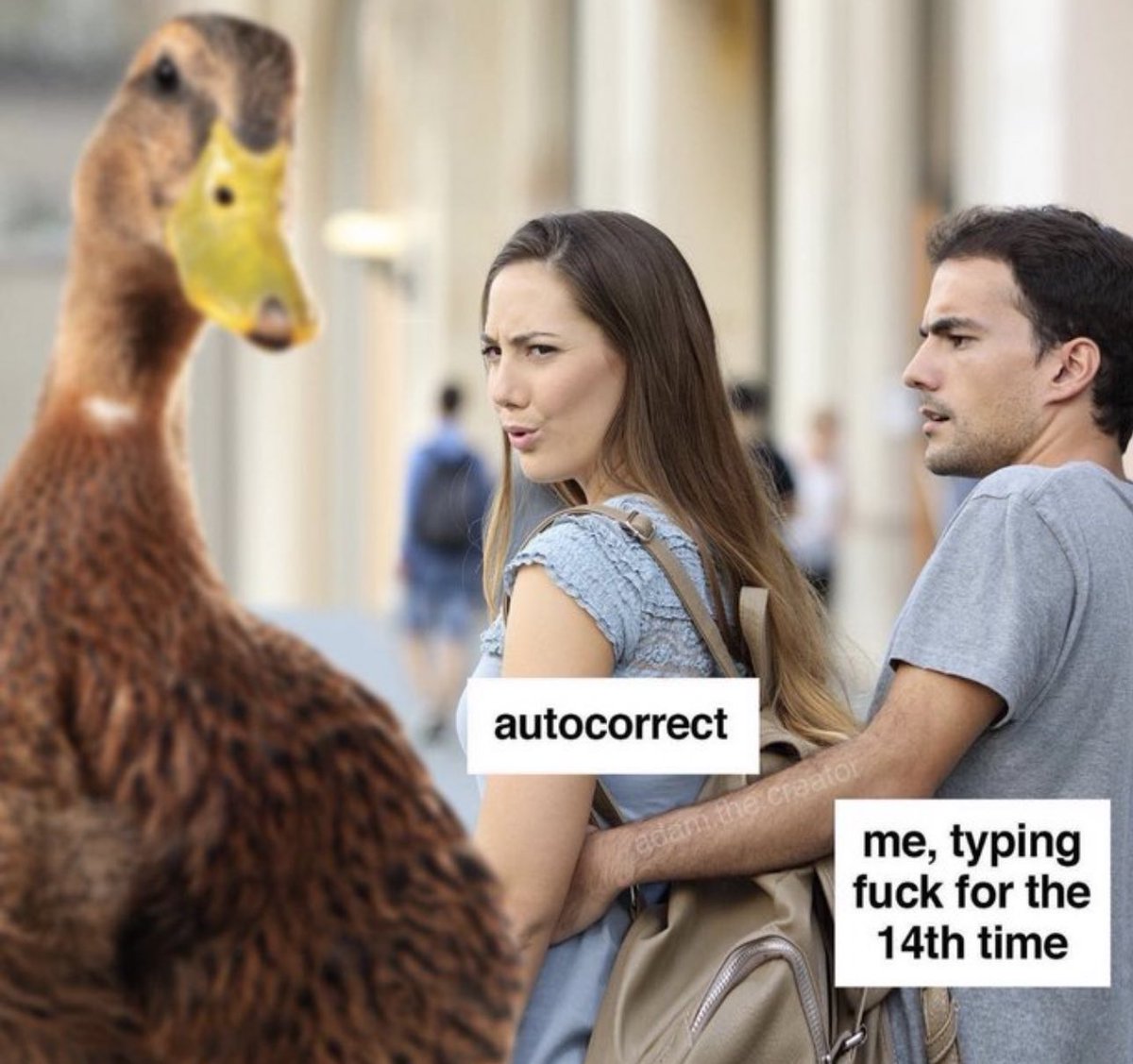 NoContextHumans's tweet photo. https://t.co/ML3x4UPuC8