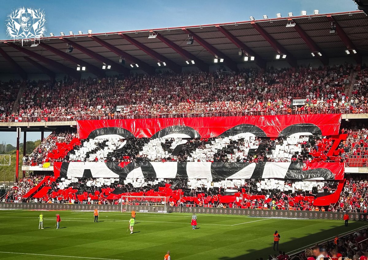 dries_rscl's tweet photo. #STABRU https://t.co/7FRc3Ex5lU