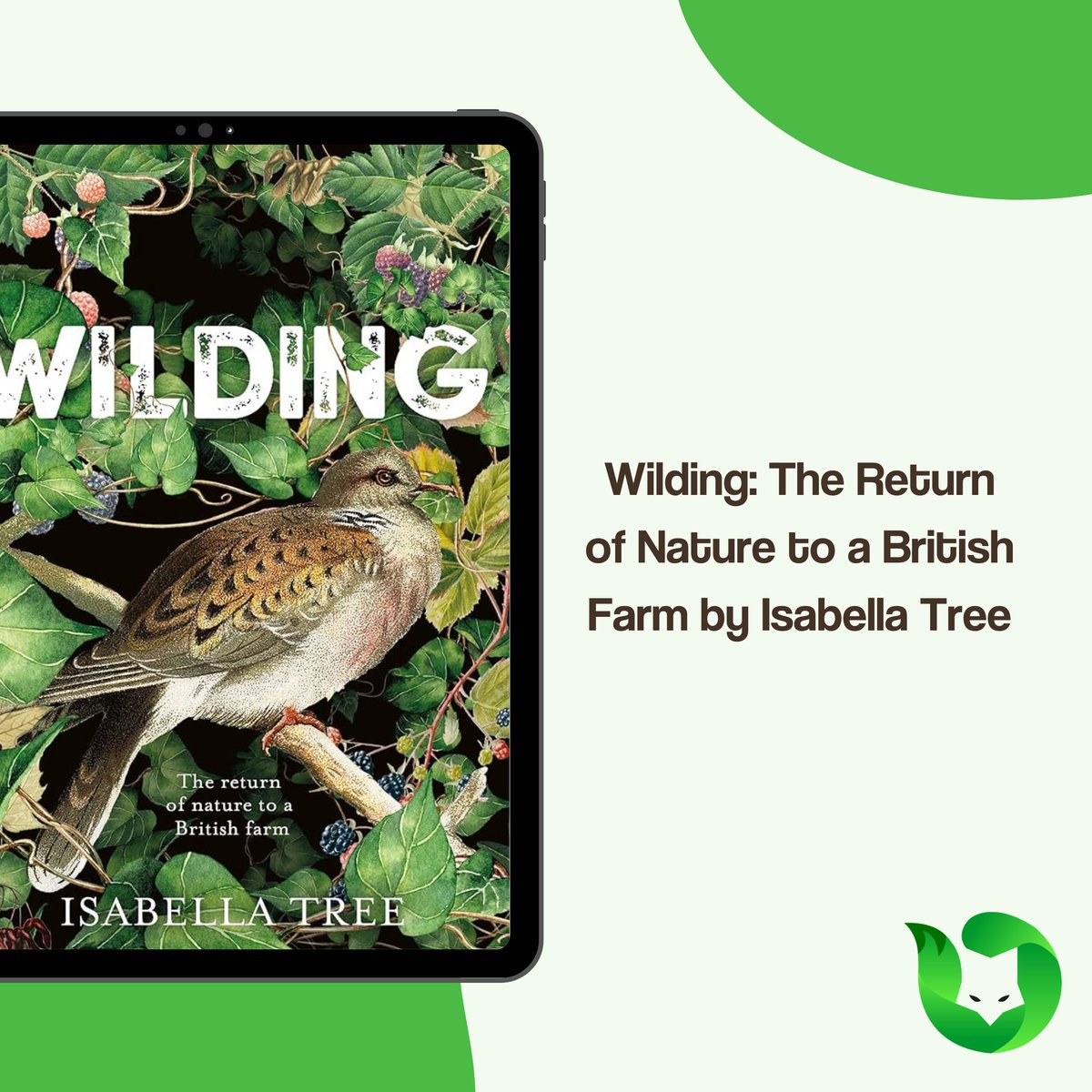 Greenfox_app's tweet photo. Book recommendation 📚🌿
Wilding:The Return of Nature to a British Farm by Isabella Tree
#GreenFox #bookrecommendations https://t.co/jkbSJKA3j4