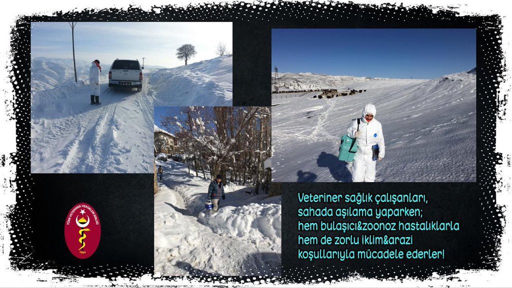 Veteriner Sağlık Çalışanları Yıpranıyor (@vetsagcalypr) on Twitter photo Kuş gribi, Şarbon, Kuduz, Veba gibi bulaşıcı ve korkutucu hastalık olgularında, fotoğraflarda
beyaz koruyucu tulumlar içinde görünen hekimler biz “Veteriner Hekimleriz.”
#VETERİNERHEKİMTORBAYASAYA
<a href="/RTErdogan/">Recep Tayyip Erdoğan</a> <a href="/_cevdetyilmaz/">Cevdet Yılmaz</a> <a href="/ibrahimyumakli/">İbrahim Yumaklı</a> <a href="/bekirgizligider/">Ebubekir GİZLİGİDER</a> <a href="/drnihatpakdil/">Dr. Nihat Pakdil</a> Kuş gribi, Şarbon, Kuduz, Veba gibi bulaşıcı ve korkutucu hastalık olgularında, fotoğraflarda
beyaz koruyucu tulumlar içinde görünen hekimler biz “Veteriner Hekimleriz.”
#VETERİNERHEKİMTORBAYASAYA
<a href="/RTErdogan/">Recep Tayyip Erdoğan</a> <a href="/_cevdetyilmaz/">Cevdet Yılmaz</a> <a href="/ibrahimyumakli/">İbrahim Yumaklı</a> <a href="/bekirgizligider/">Ebubekir GİZLİGİDER</a> <a href="/drnihatpakdil/">Dr. Nihat Pakdil</a>