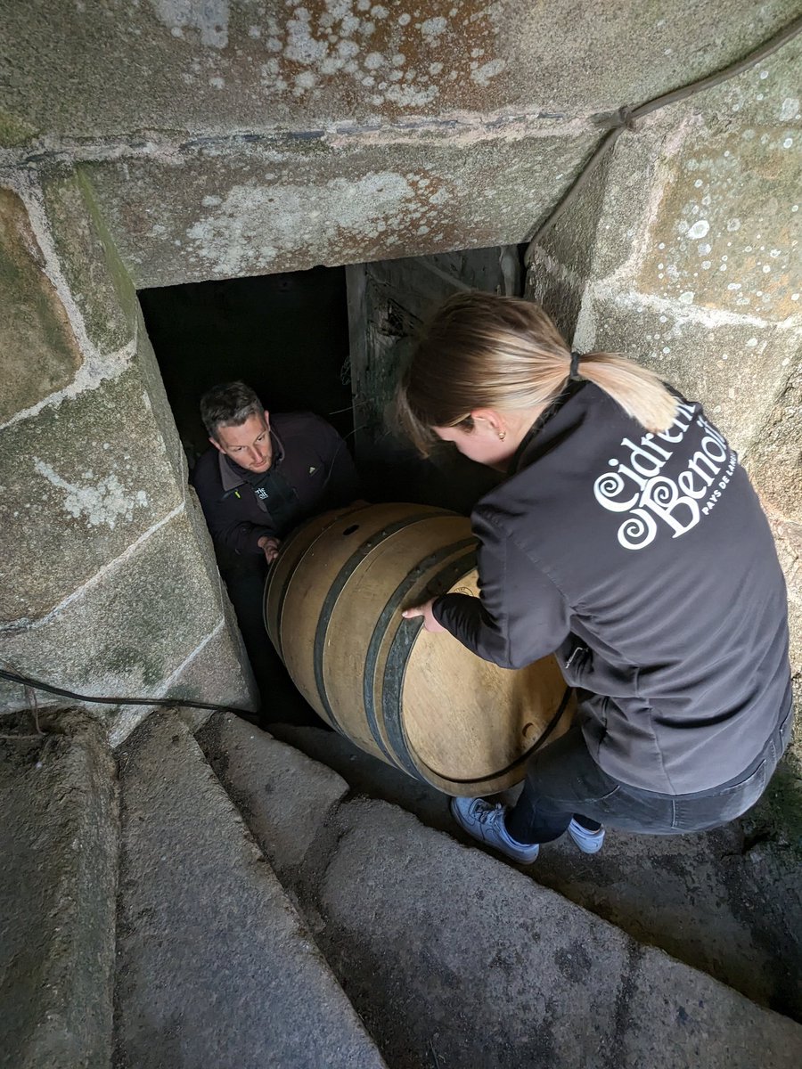 thiegauv's tweet photo. Cuvée Prestige bio "Duché de Penthièvre 2024" ! 👑
Mettre des fûts de cidre sous la #Collegiale Notre Dame de @LamballeArmor, une aventure cidrico-historique, mêlant #terroir, #patrimoine et #histoire locale ! 😍
avec Cidrerie Benoît, Laurent Le Meilleur et @PhilippeHercou1 https://t.co/I1MPYrccAc