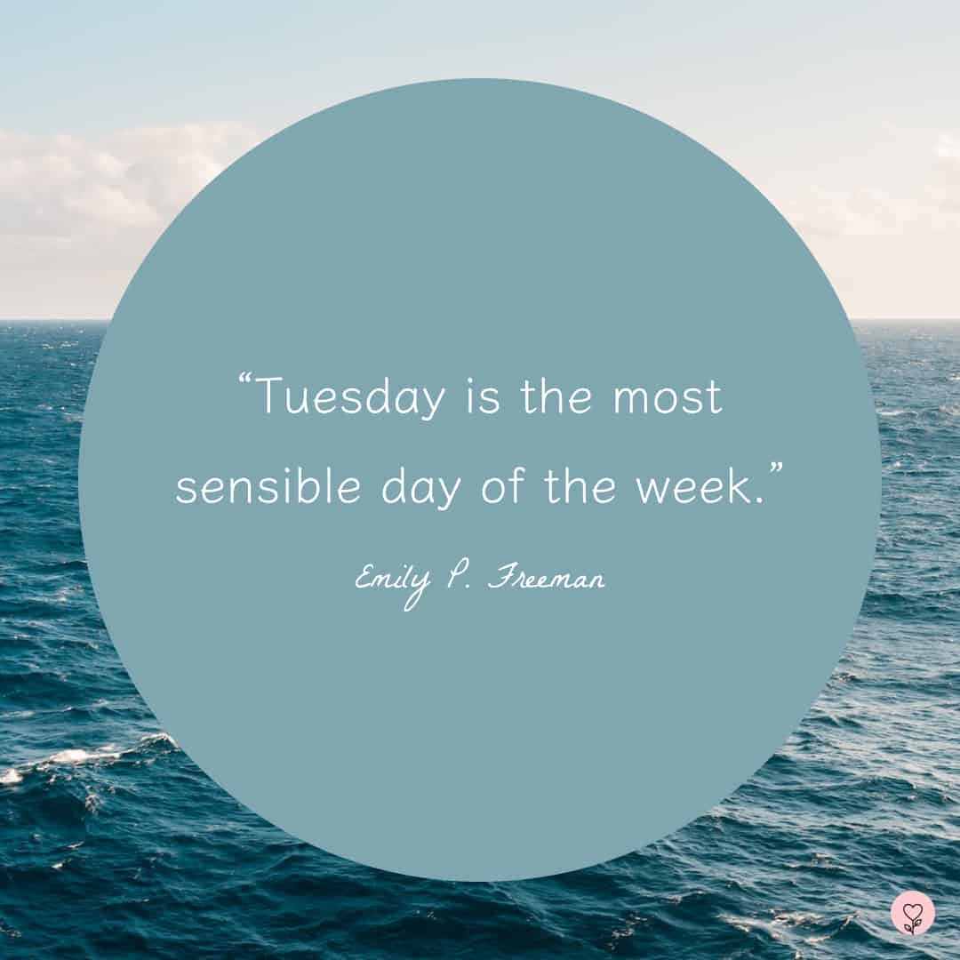 Sensible Tuesday 😊

#Sensible #Tuesday #tuesdayvibe #tuesdaymotivations #TuesdayFeeling #TuesdayMotivaton #TuesdayQuotes #TuesdayThoughts #TuesdayMood
