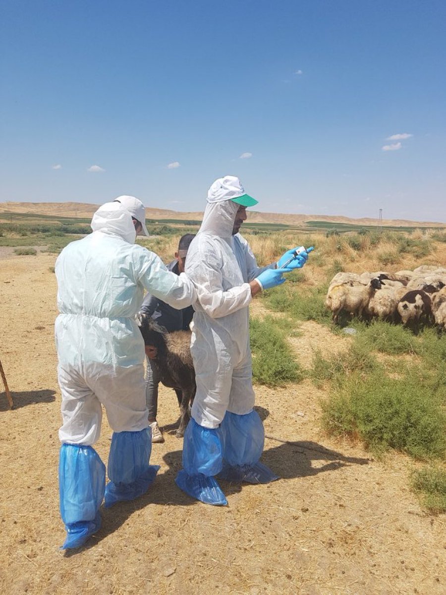 #VeterinerHekimTorbaYasaya