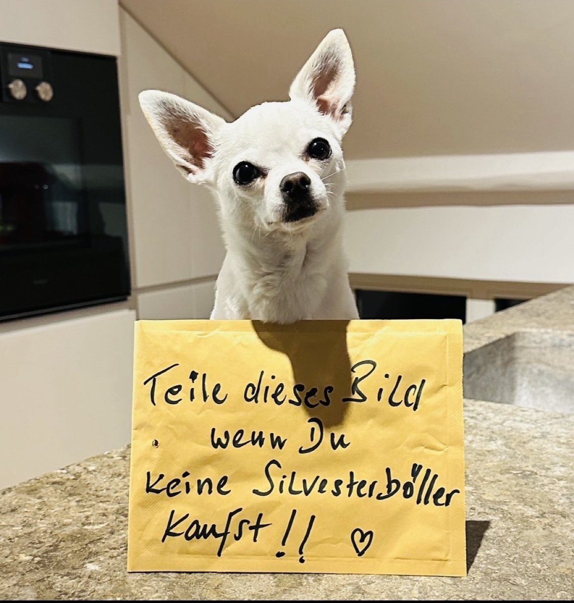 Meine Oma sagte immer, von Knallerei hatten wir im Krieg genug.

Ich kaufe keine Böller, keine Raketen noch irgendetwas anderes, was knallt und stinkt.

Wer zieht mit? 
Das wäre auch im Sinne der Tiere, die in der Stadt in unseren Wohnungen oder auch wild leben.
<a href="/dokhollidays/">OrthopaeDenker</a>