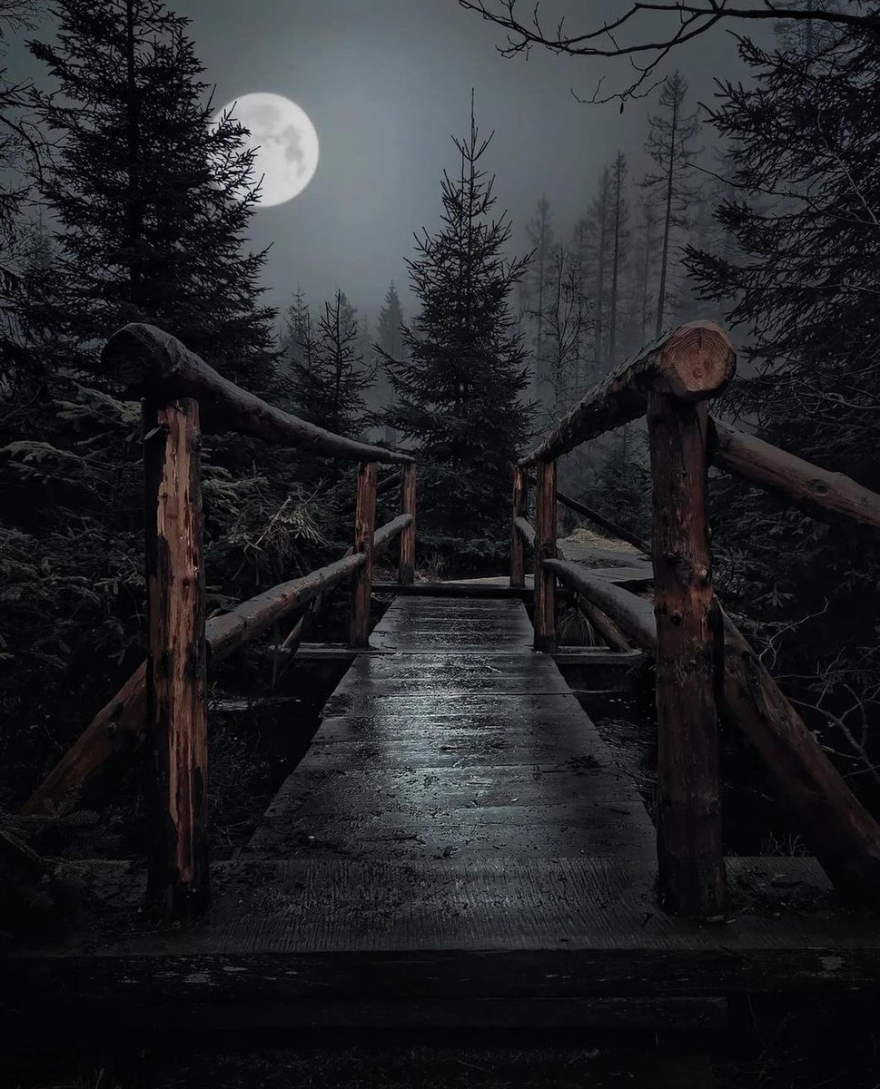 Moonlight trail, Germany 💫