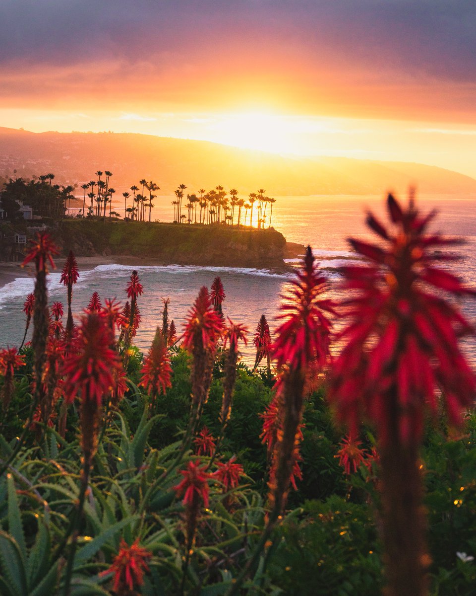 Eric Rubens tweet media