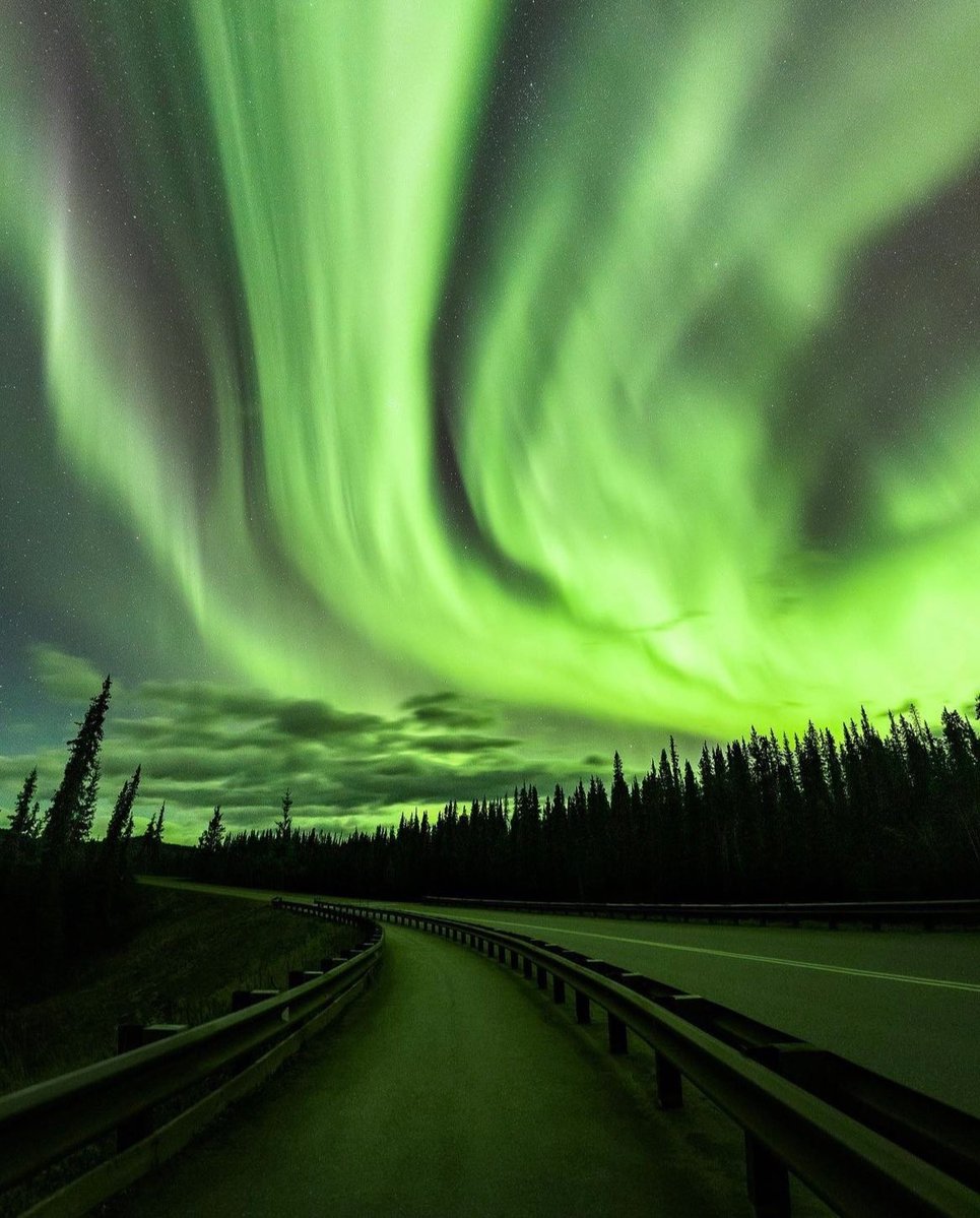 Arctic nights in Alaska ✨