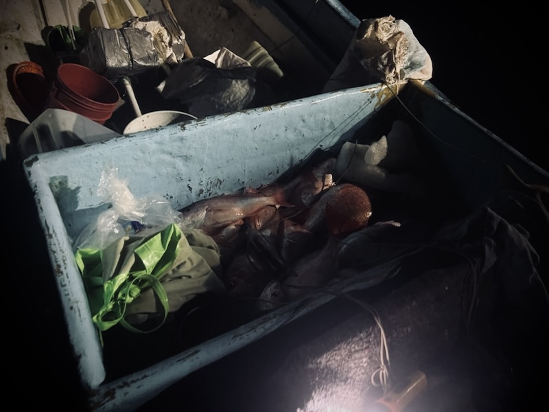 USCGHeartland's tweet image. A @USCG Station #SouthPadre Island law enforcement crew in coordination with a Coast Guard Air Station #CorpusChristi aircrew interdicted two lanchas with over 450lbs of fish, longline gear, and gill nets.

The 9 fishermen on board were transferred to @CBP for repatriation.