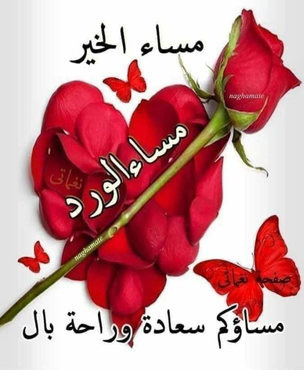مساء الخير والسعادة والعافية والسرور وعطر الزهور 🌹🌹🌹