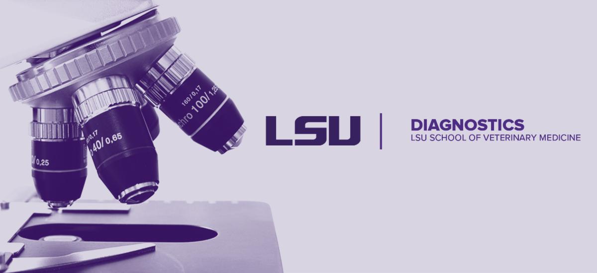 LSUVetMed's tweet photo. LSU Diagnostics will reopen with regular hours on Friday, December 29 following a scheduled LSU campus-wide power outage. LSU Diagnostics will be closed on January 1 for the New Year's Day holiday and reopen on January 2. We wish all of our clients a Happy New Year! #WeProtect https://t.co/4RNYRRA9o9