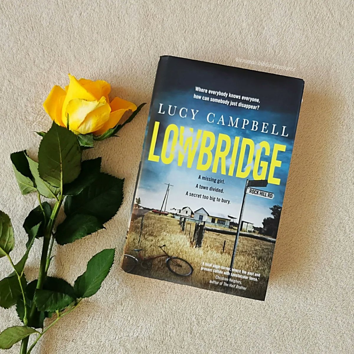 Bibliotreasures's tweet photo. Today I'm sharing my #bookreview for #Lowbridge which I read with @Squadpod3

This is a superb and heart-wrenching debut you should read
@ultimopress

https://t.co/wcSgKmQW7e https://t.co/w2HtK7Equa