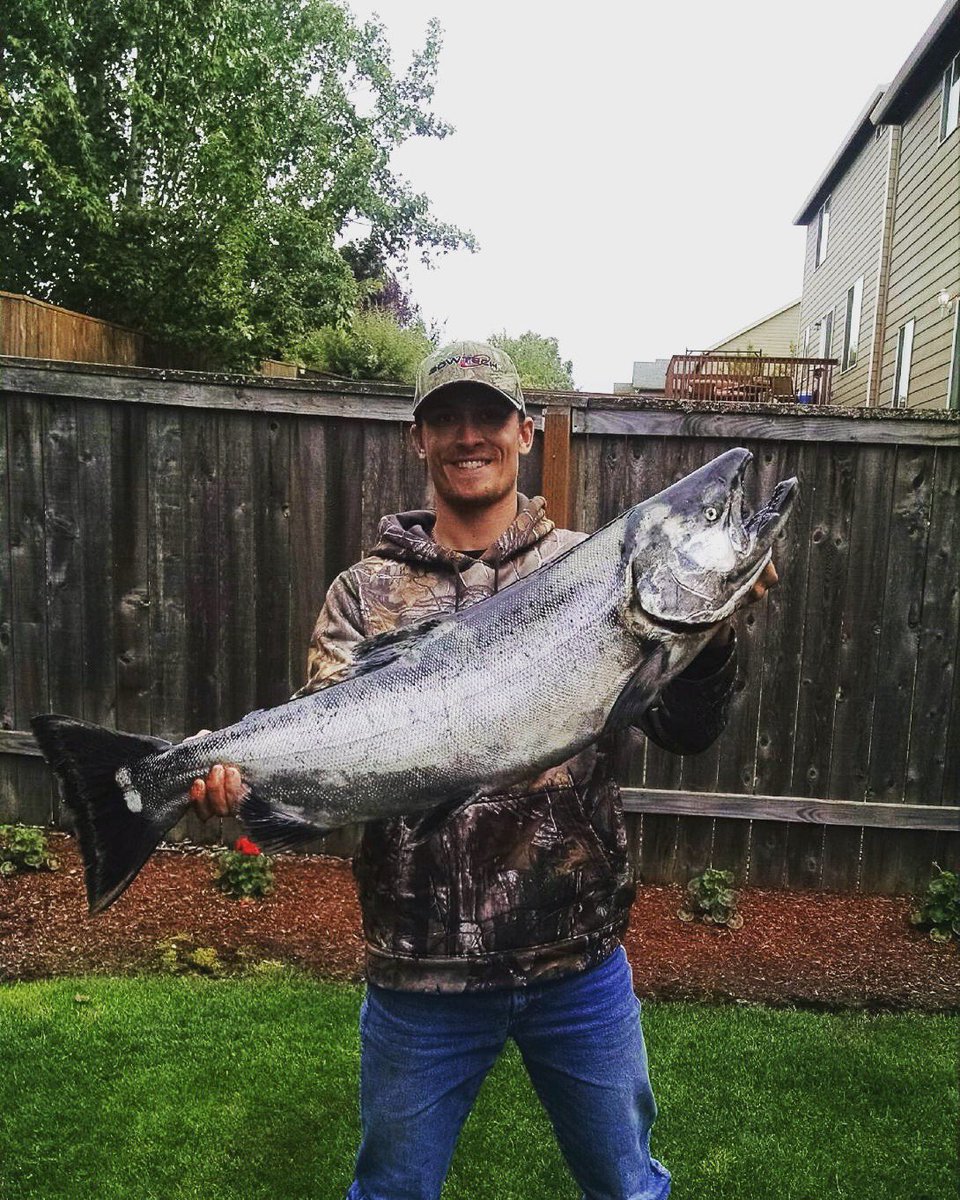 AnglersAdvTV's tweet photo. Spring chinook is one of my favorite fish to eat. What is yours? π£
#springchinook
#eatgood
#bobberdown
#throwback https://t.co/kDf7hercEu