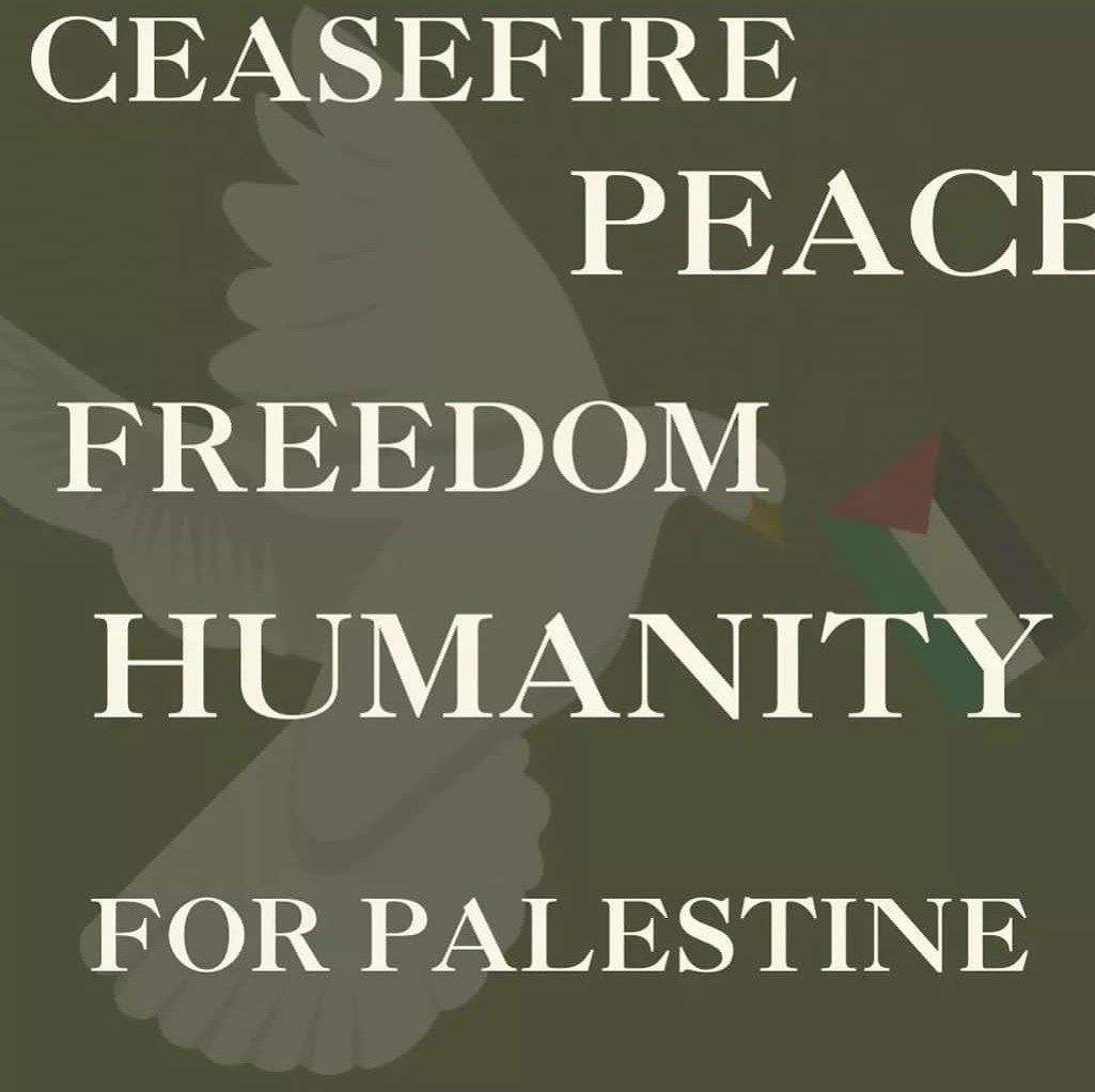 Please spread the word, Ceasefire and Peace for Gaza.

It probably won't matter, but in years time when people look back on this genocide, at least be able to say the power of Isreal didn't shut you up.