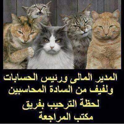 ديسمبر
😂😂😂