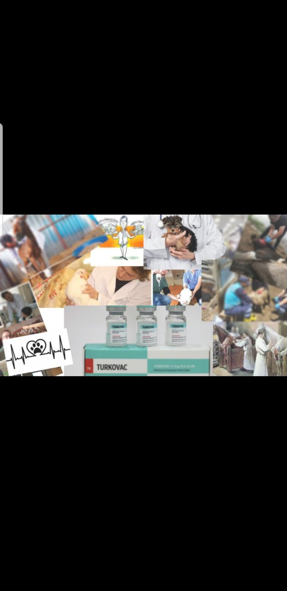 #VeterinerHekimTorbaYasaya