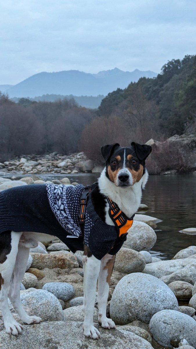 un Luffy con jersey de señor mayor salvaje apareció
like o mala suerte en 2024
