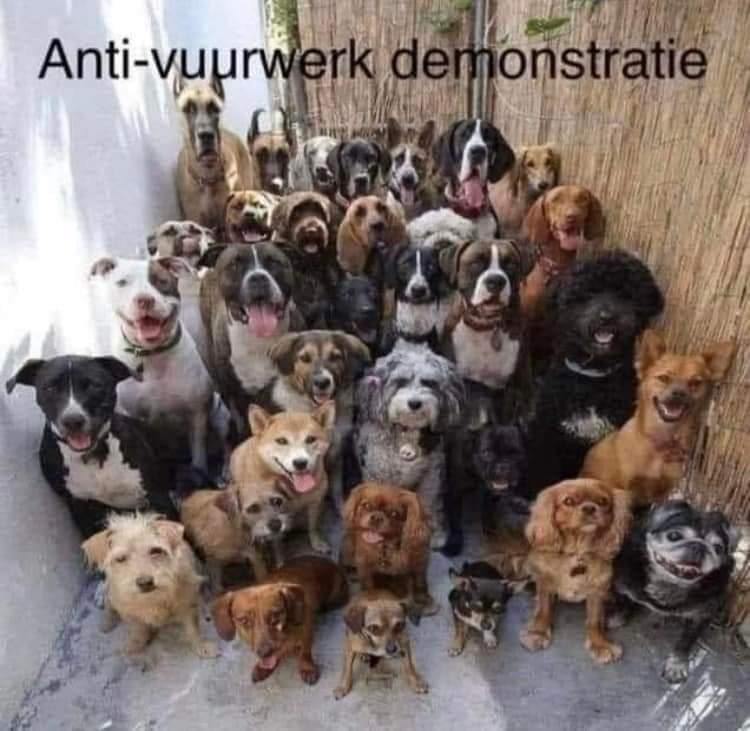 missijans's tweet photo. @frederiquespigt https://t.co/3iVyztxFgg