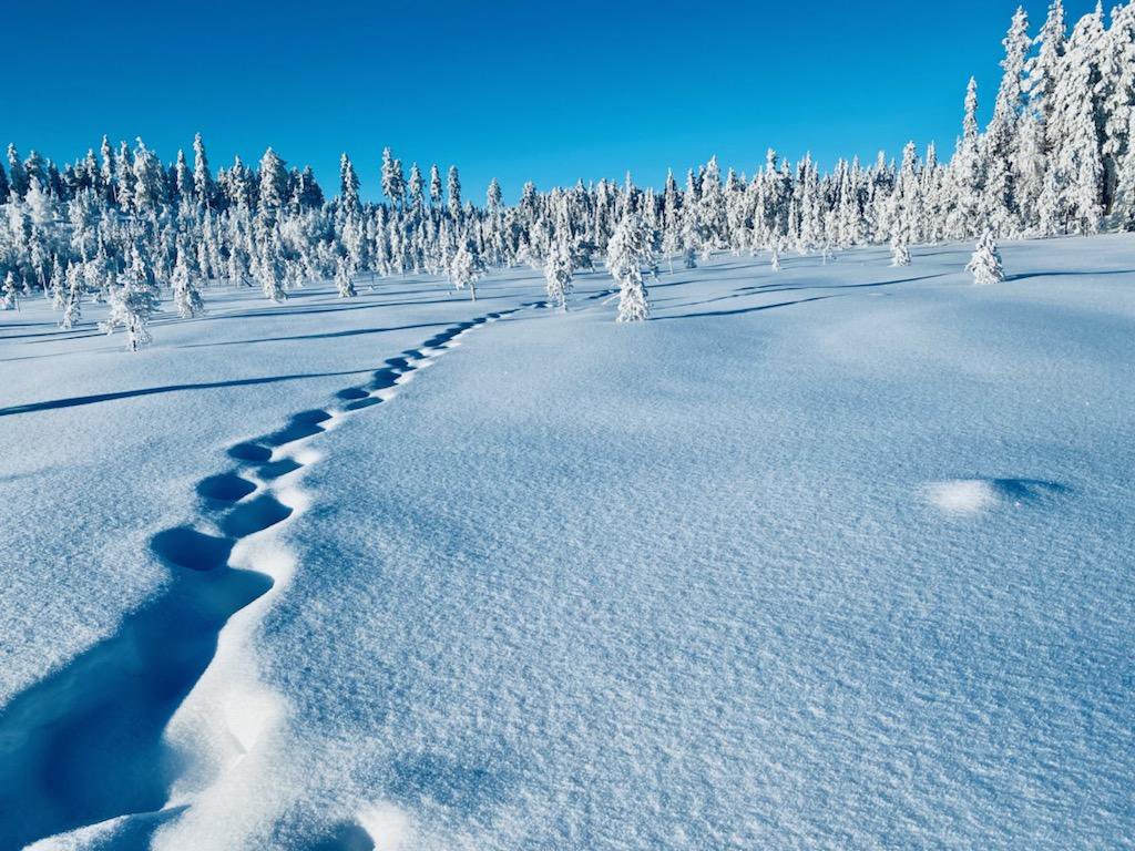 STPauligrl's tweet photo. @earthcurated @jukka_risikko https://t.co/g9qspSvbDg