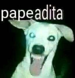 KdvrzZ's tweet photo. @late_cod tru we 🗣🗣 si molesta ya alv https://t.co/VrvUCFoBZB