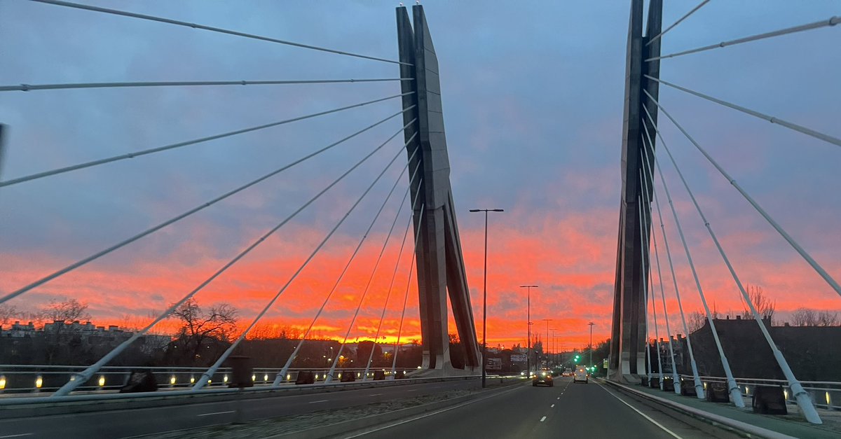 dosmilescyl tweet media