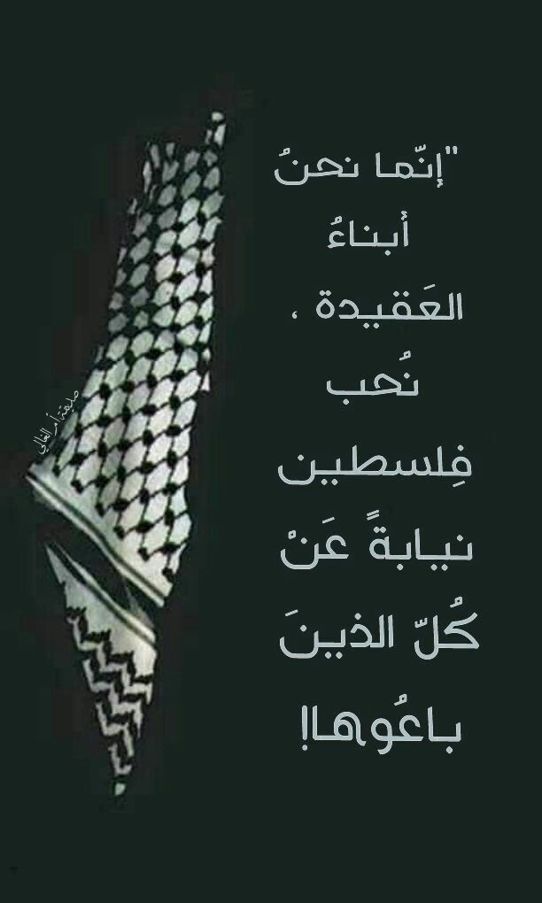 ayat_ezz's tweet photo. 🇵🇸✌♥️ https://t.co/B80AaJwhbW