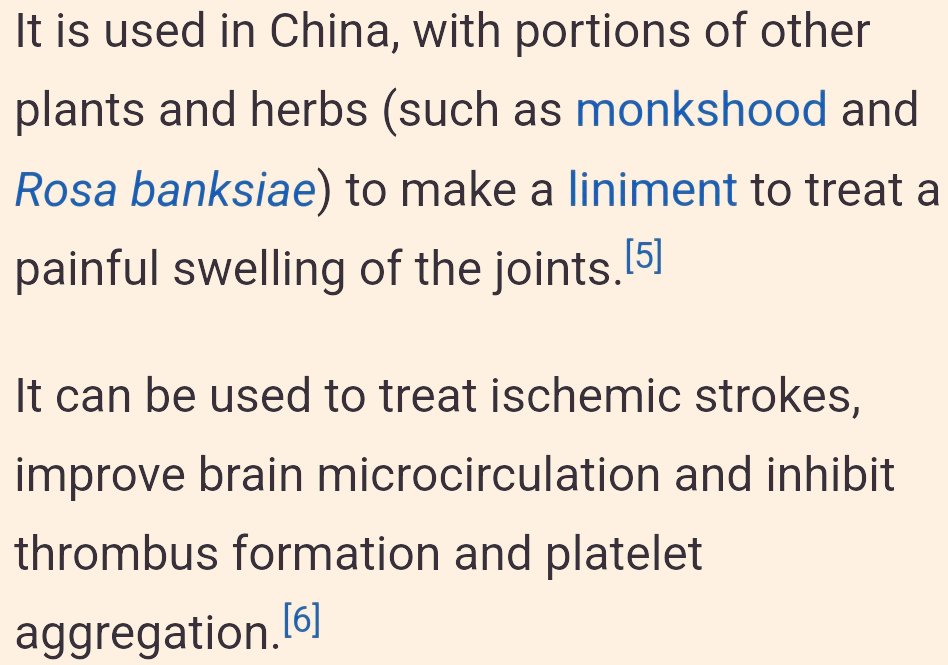 T3Uncoupled's tweet image. Currently trying to pronounce the word phytoprogestogen without getting nauseous, but there is a traditional Chinese medicine herb called Szechuan Lovage (part of the carrot family) that has a potent "progestin" called dihydrodiligustilide. It's used to treat estrogen dominance.