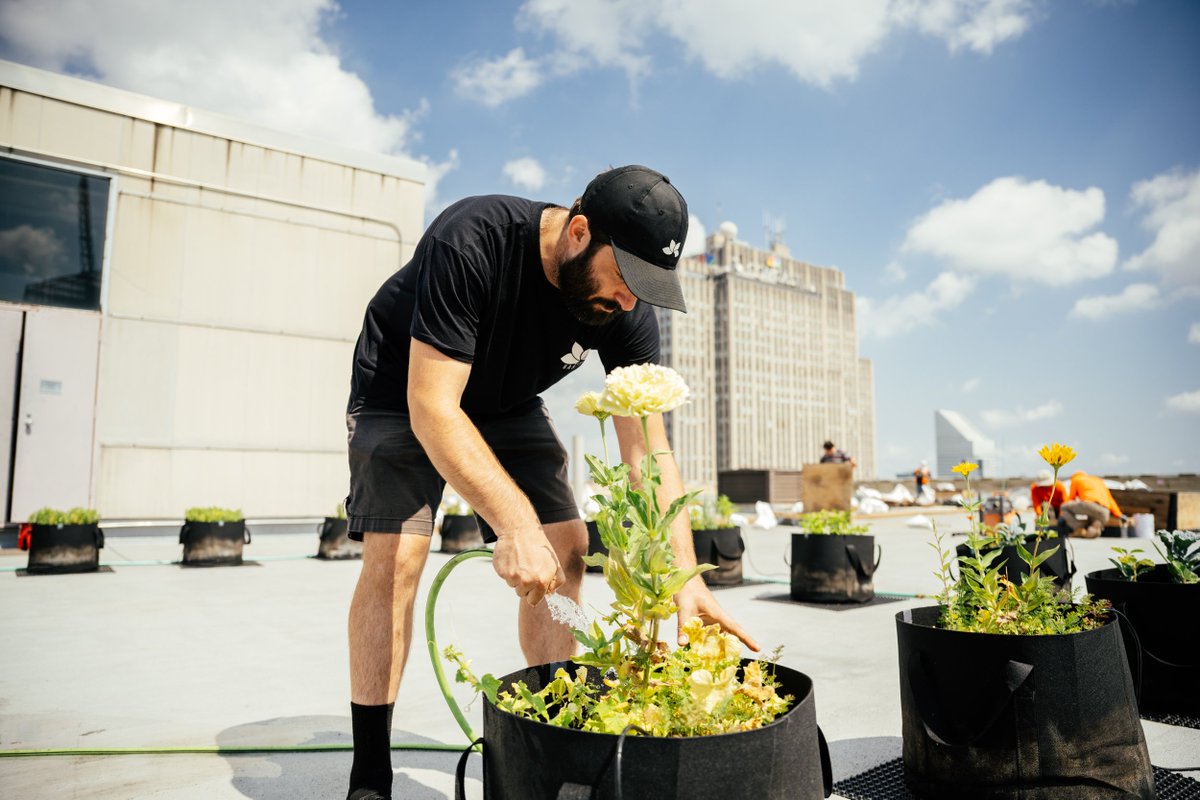Microhabitat (@microhabitat_ca) on Twitter photo Unlock the potential of your space with MicroHabitat! Our #urbanfarming expertise caters to the unique needs of your building. Ready to transform your environment? π±β¨ Unlock the potential of your space with MicroHabitat! Our #urbanfarming expertise caters to the unique needs of your building. Ready to transform your environment? π±β¨