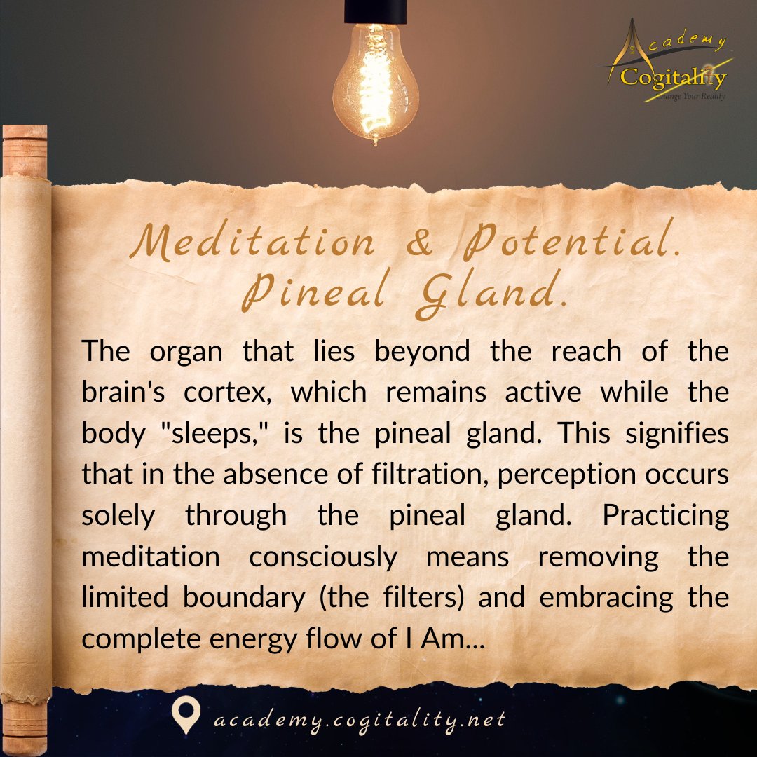 cogitality's tweet photo. Are you prepared to immerse yourself in meditation, allowing its principles to connect you deeply with the flow of Everything around you? 🧘‍♂️✨ #MeditationMagic #DeepConnection #InnerPeace 🌿 https://t.co/0lsKtYrbBu