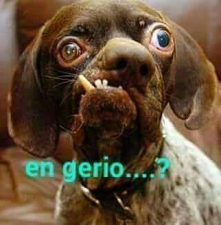 Djcapitan3's tweet photo. @MariaFdaCabal vea pues esta cosa...... https://t.co/UePrRot8nU