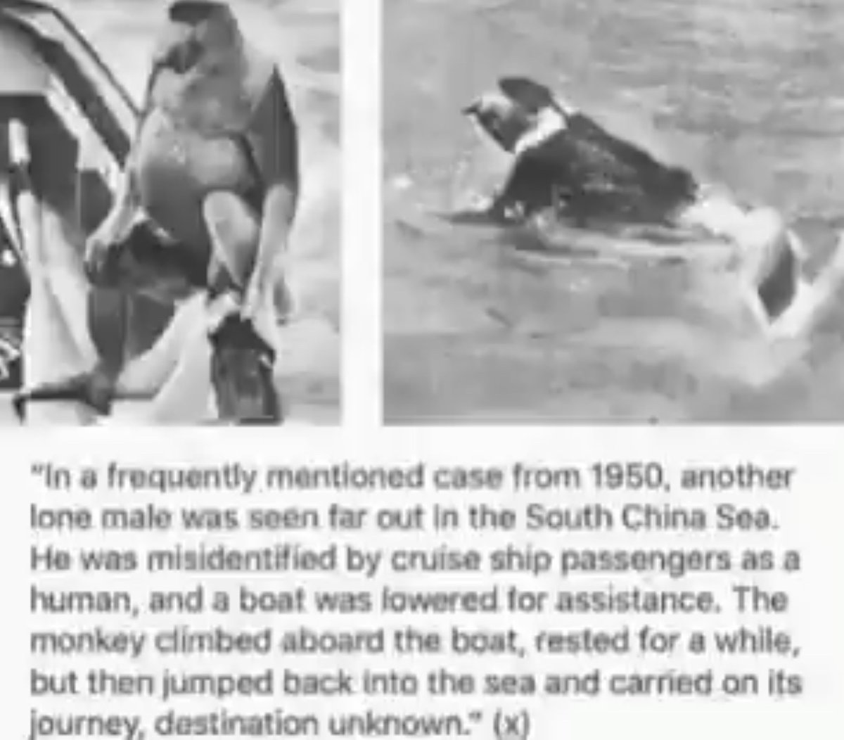 sean (@dilettanterypod) on Twitter photo 