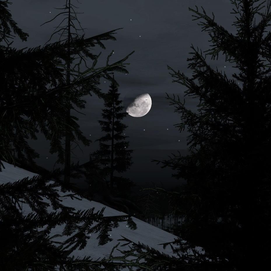 antigaamer's tweet photo. ❄️ Winter-DayZ bei Nacht, wunderschön passend zur Jahreszeit! ☃️😎 #dayz #anti_zockt #banov #survival #anti_ #twitchde #love https://t.co/RB61U0v2Ad