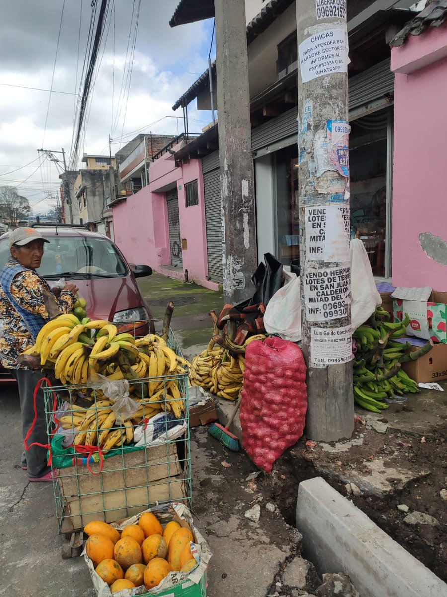 jonatancevallos's tweet photo. @amcquito  @MunicipioQuito  Alguna agencia que nos pueda ayudar con esta situación en la Francisco Coronel y Michelena?? https://t.co/H2jeZQTc1Y