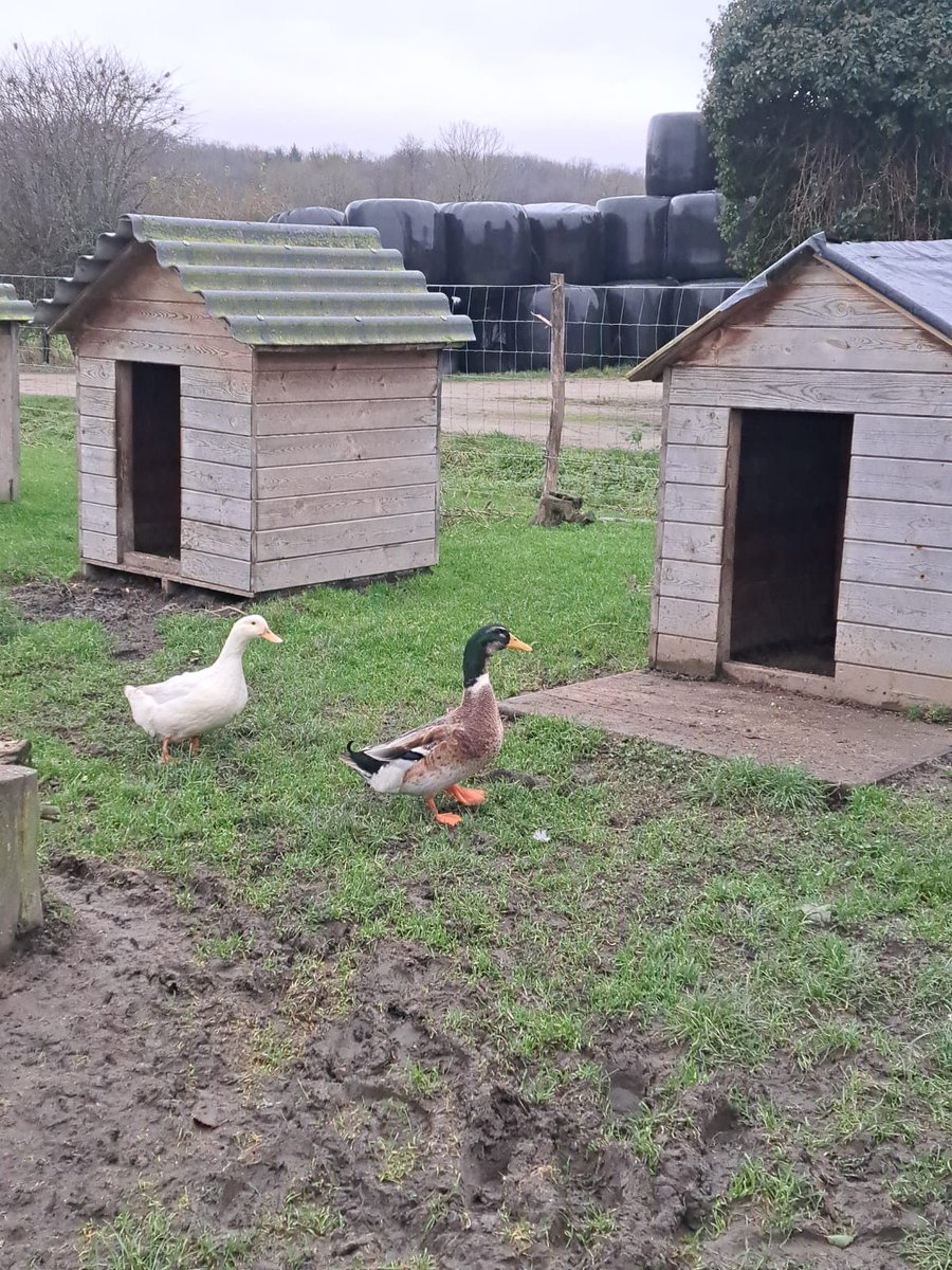 PapiMorgane's tweet image. ❤🔥🙏