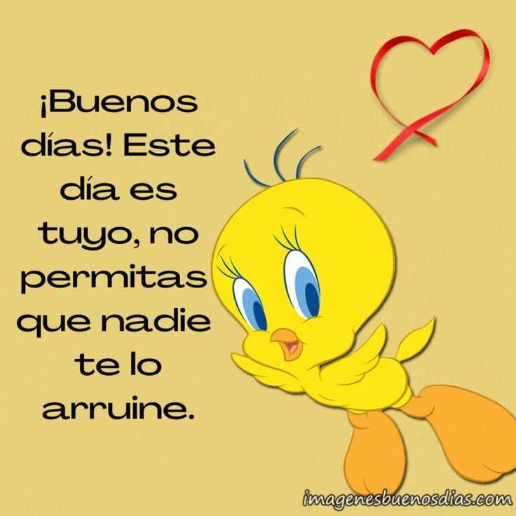 Tony Tafur tweet media