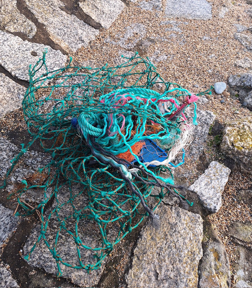 Quite a lot of debris blown in by #StormGerrit today. #PlasticPollution #GhostGear #Litter #EarthCleanUp #LoveWhereYouLive