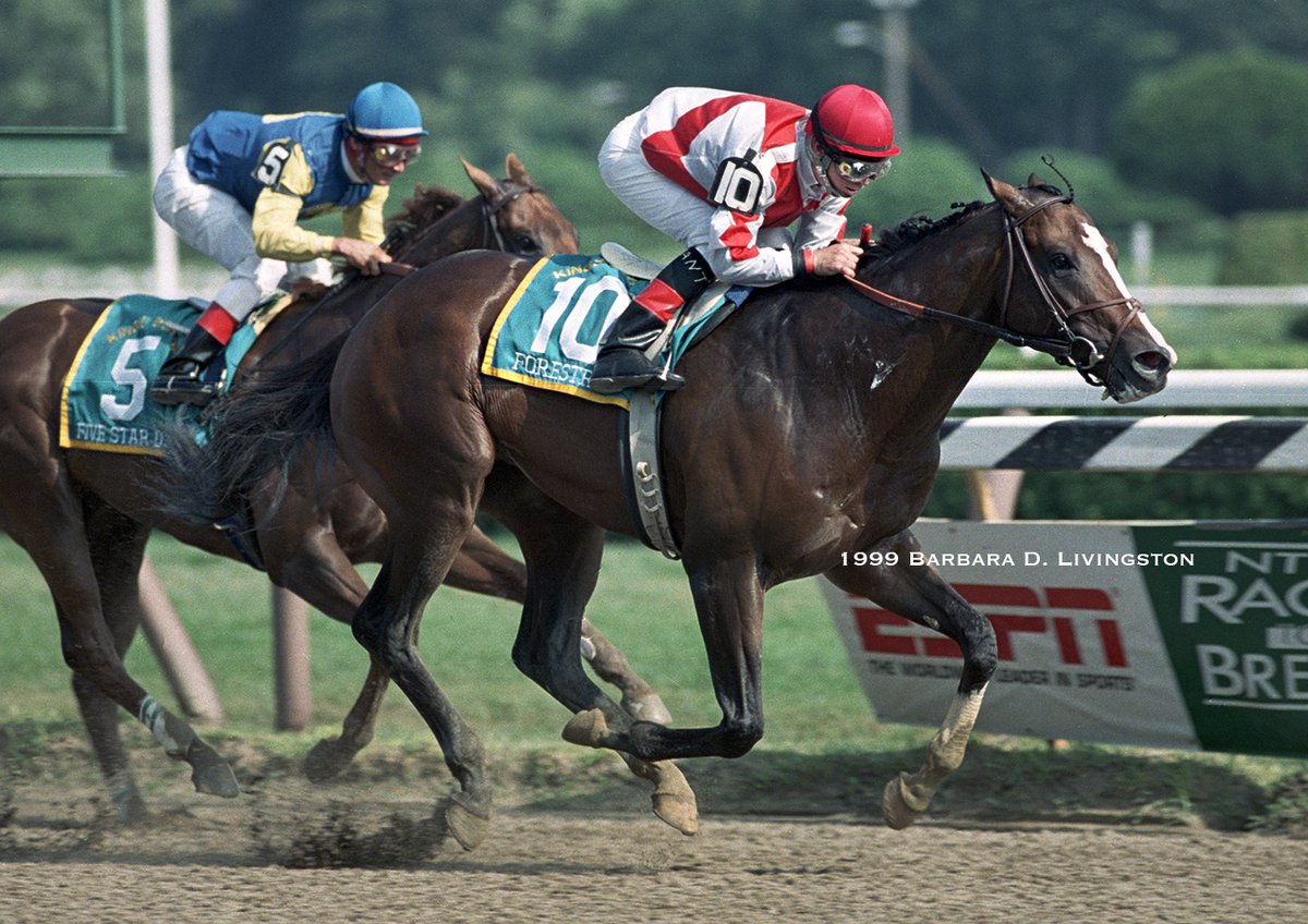 Goodbye, multiple graded stakes winner FORESTRY (Storm Cat - Shared Interest, by Pleasant Colony), who has died in Brazil at age 27. 

He stood at Haras São José da Serra.

FORESTRY won 7 of 11 races, including the 1999 G1 King's Bishop at Saratoga (photo) w/ Chris Antley up.
...