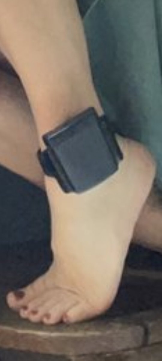 Never mind. Those dogs are barking!