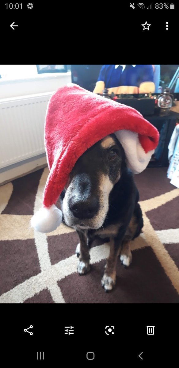Tetley4463's tweet photo. Another Christmas has passed but yr still with us in spirit ❤️ https://t.co/sQEQPMokAg