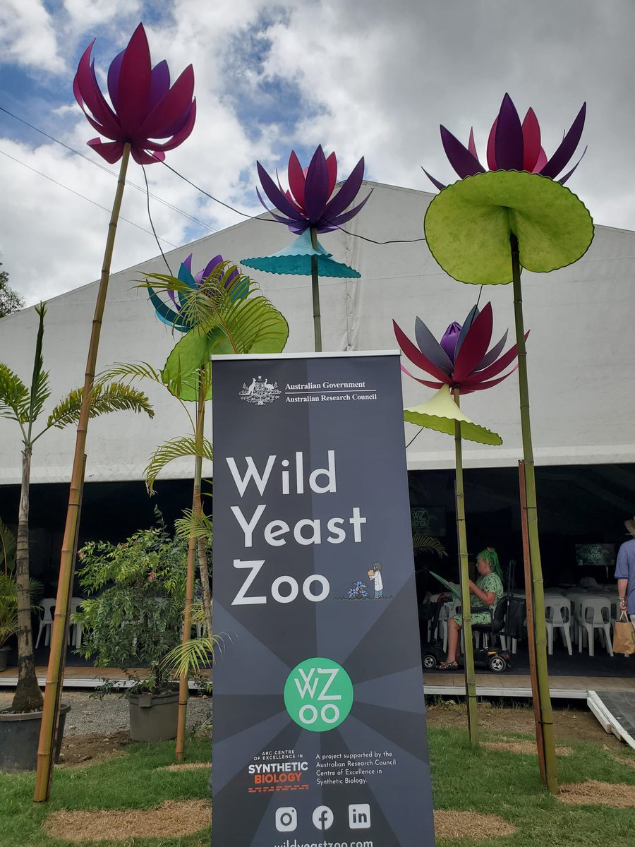 A/Prof Amy Cain (@flamycain) on Twitter photo Amazing first days <a href="/Woodfordia/">Woodfordia</a> Woodford folk festival!
Our packed out talk on the history, use & biodiversity of yeast by <a href="/YeastZoo/">Wild Yeast Zoo</a> <a href="/ClaudesLee/">Claudia Holt</a> <a href="/kittenfinity/">Natasha Delgado</a> <a href="/BRaTlab/">Karl Hassan</a> <a href="/EvoGibbs/">Evan Gibbs</a> <a href="/matthewsben/">Dr Benjamin Matthews</a> & our 1st yeast walk was a success! Thanks to <a href="/ARC_CoESB/">ARC Centre of Excellence in Synthetic Biology</a> <a href="/inspiringaus/">Inspiring Australia – National Networks</a> @InspiringNsw 🙏 Amazing first days <a href="/Woodfordia/">Woodfordia</a> Woodford folk festival!
Our packed out talk on the history, use & biodiversity of yeast by <a href="/YeastZoo/">Wild Yeast Zoo</a> <a href="/ClaudesLee/">Claudia Holt</a> <a href="/kittenfinity/">Natasha Delgado</a> <a href="/BRaTlab/">Karl Hassan</a> <a href="/EvoGibbs/">Evan Gibbs</a> <a href="/matthewsben/">Dr Benjamin Matthews</a> & our 1st yeast walk was a success! Thanks to <a href="/ARC_CoESB/">ARC Centre of Excellence in Synthetic Biology</a> <a href="/inspiringaus/">Inspiring Australia – National Networks</a> @InspiringNsw 🙏